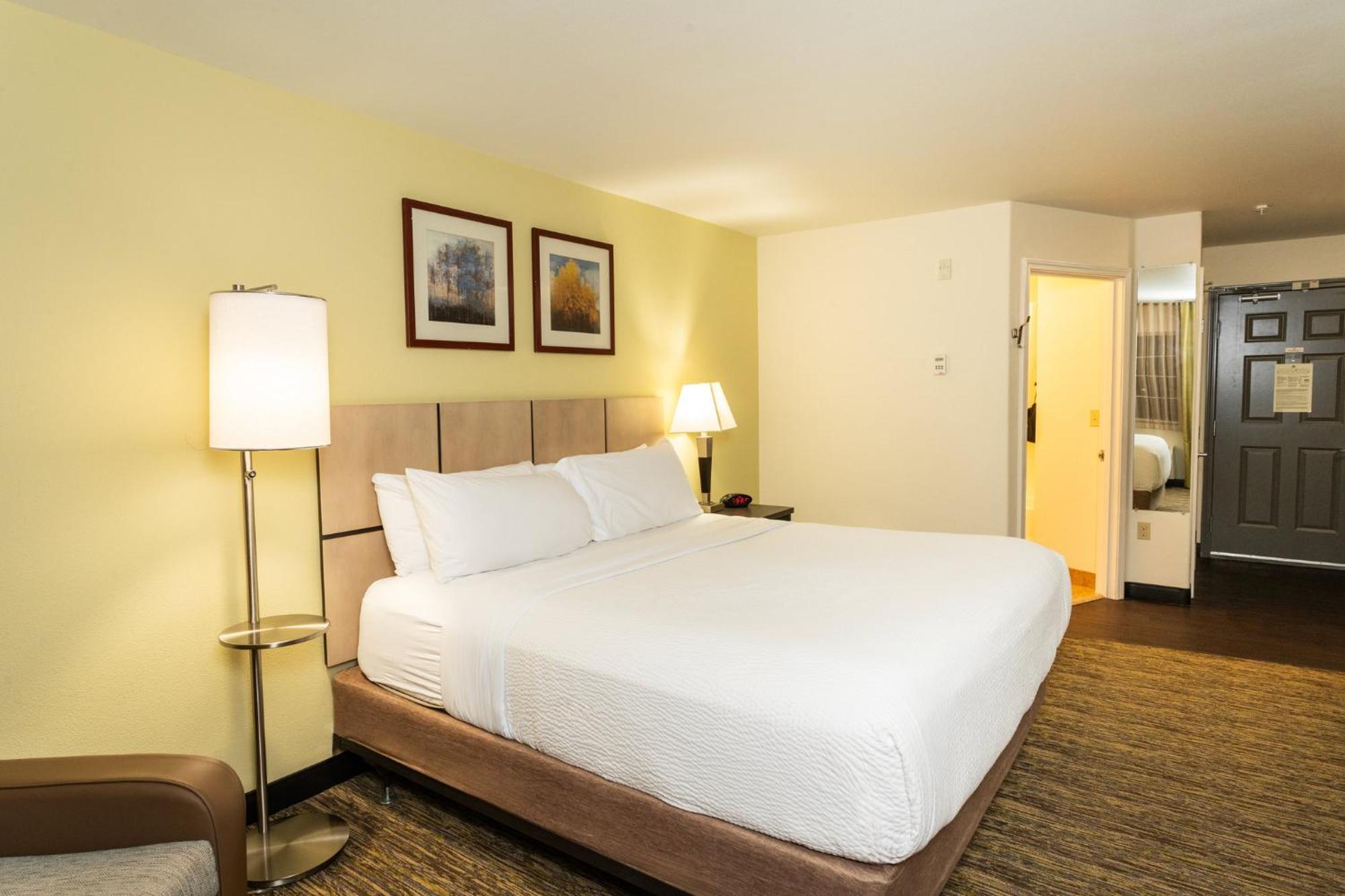 Studio Suite,1524991711:JPEG